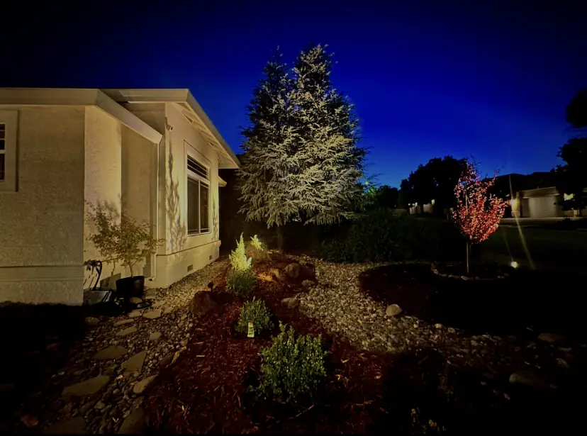 Front yard at dusk with lit trees and planting beds